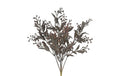 Schinus purple h 35 cm