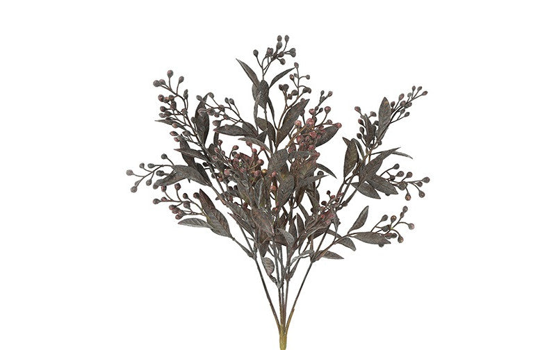Schinus purple h 35 cm