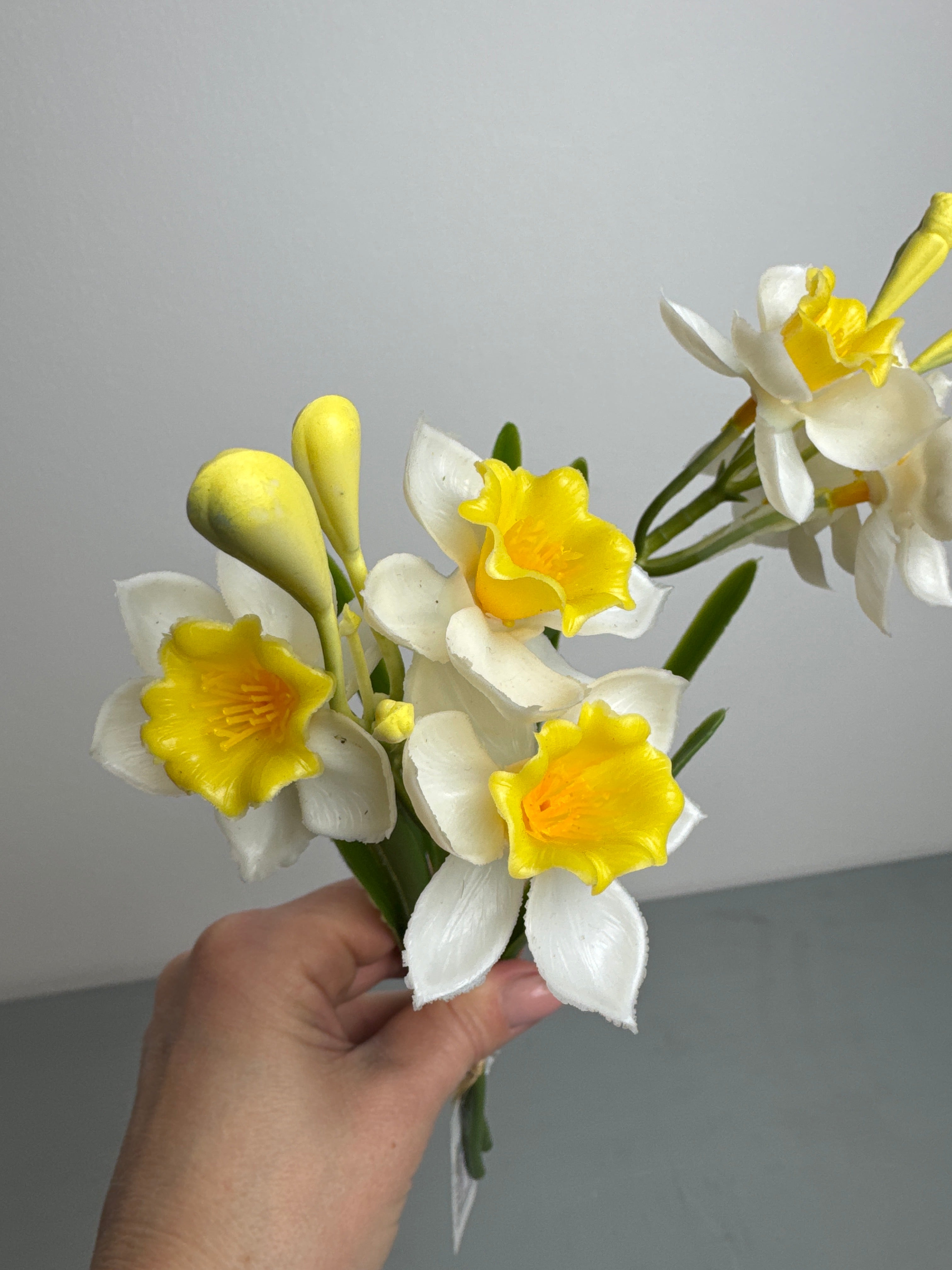 Påskelilje 2 stk hvid