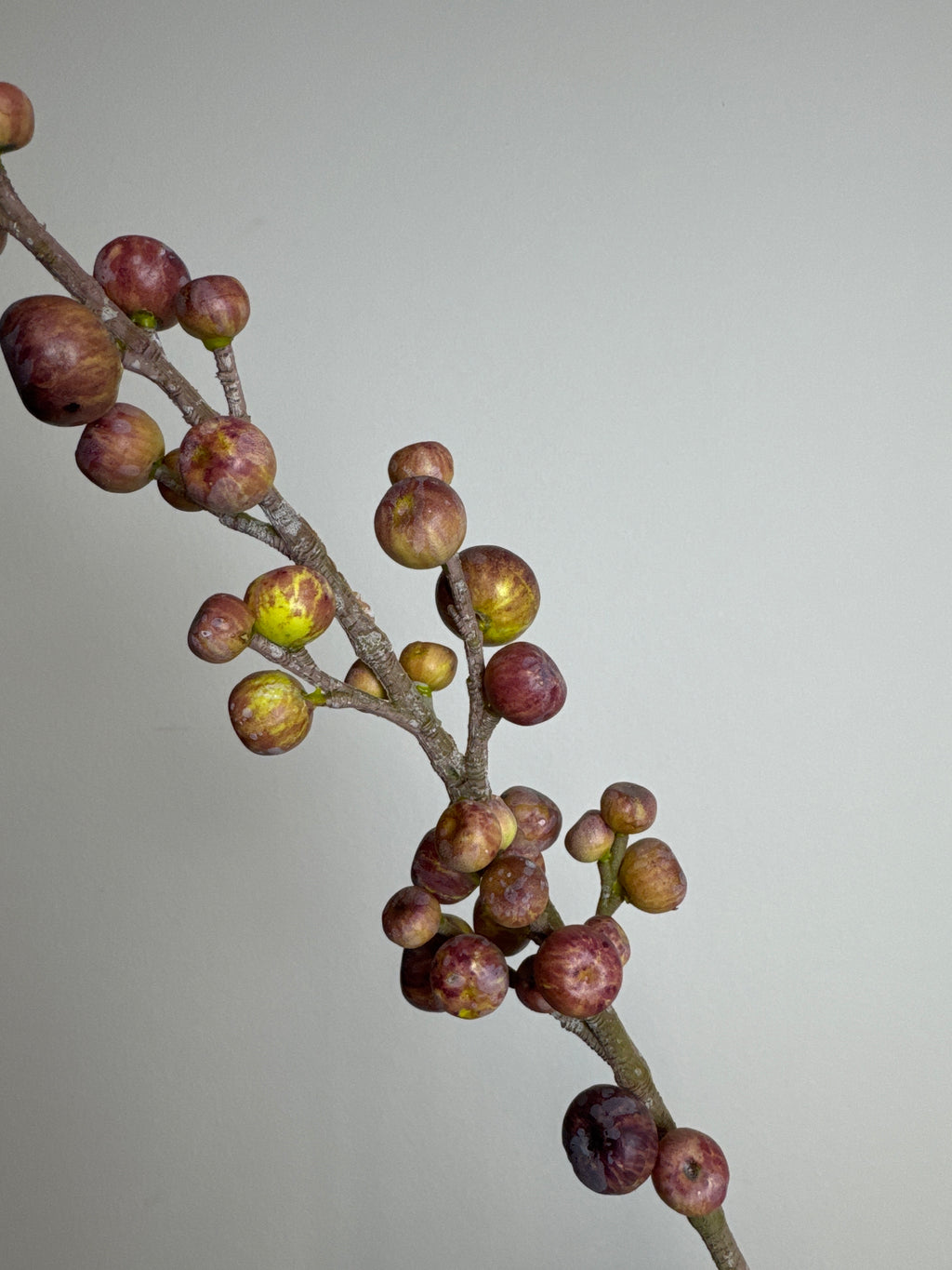 Gren med små æbler