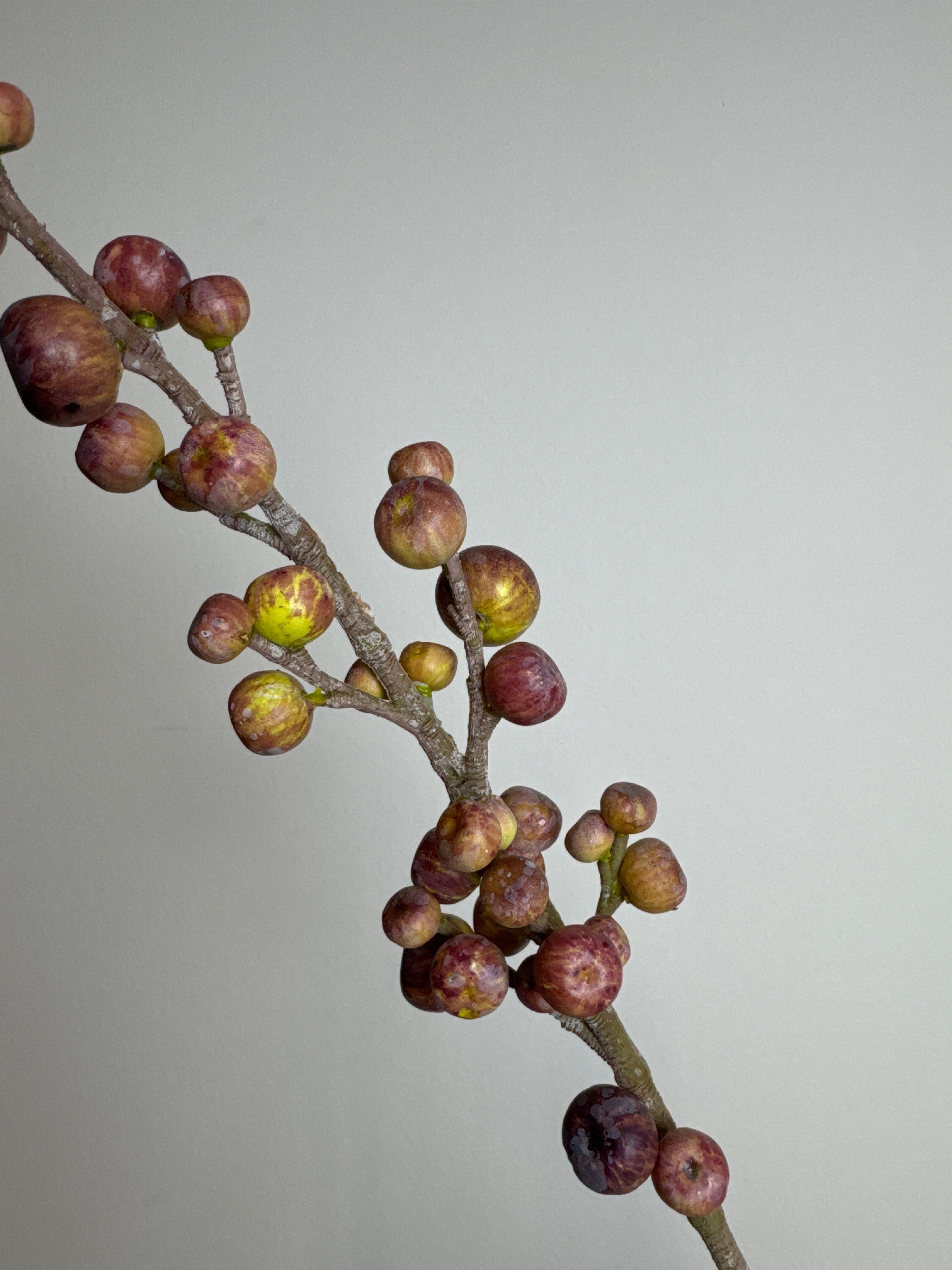 Gren med små æbler