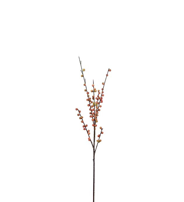 Bær kvist 85 cm