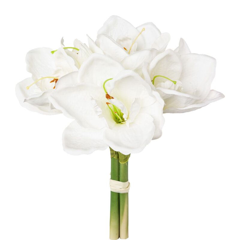 Amaryllis 3 stk hvid. 32 cm
