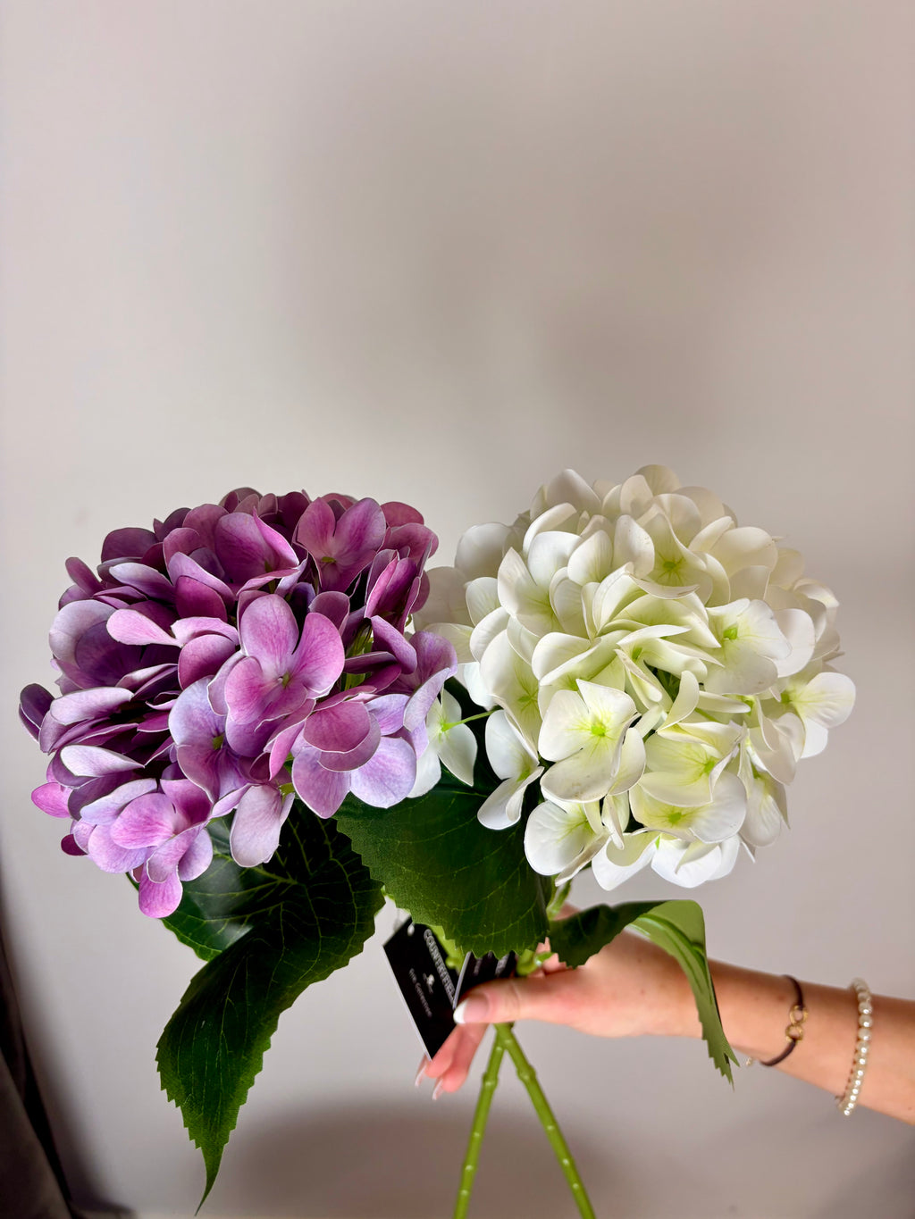 Hortensia hvid