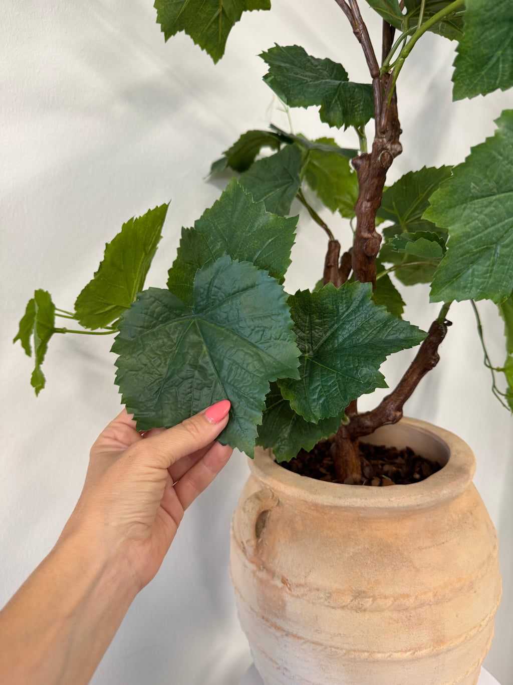 Vinstok plante 90 cm