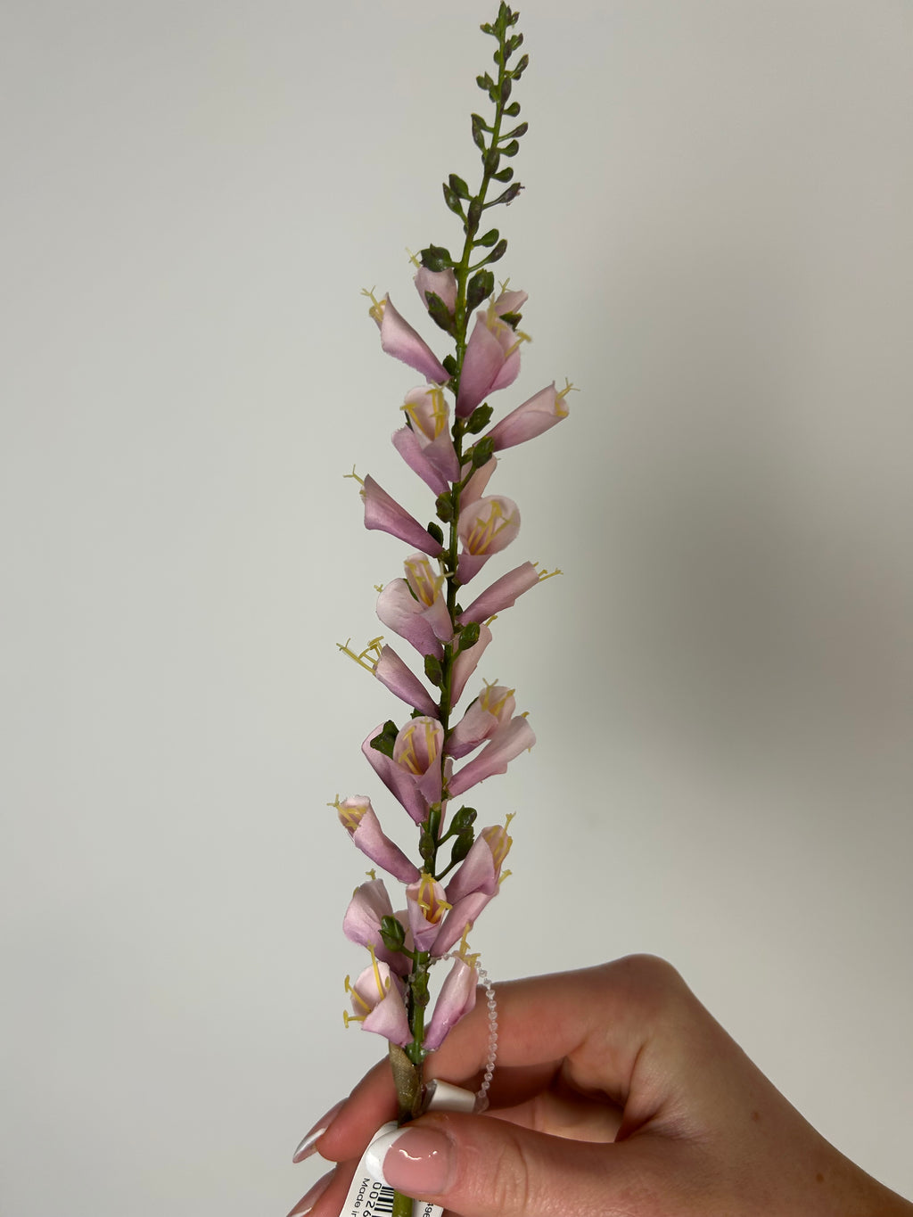 Digitalis lyserød