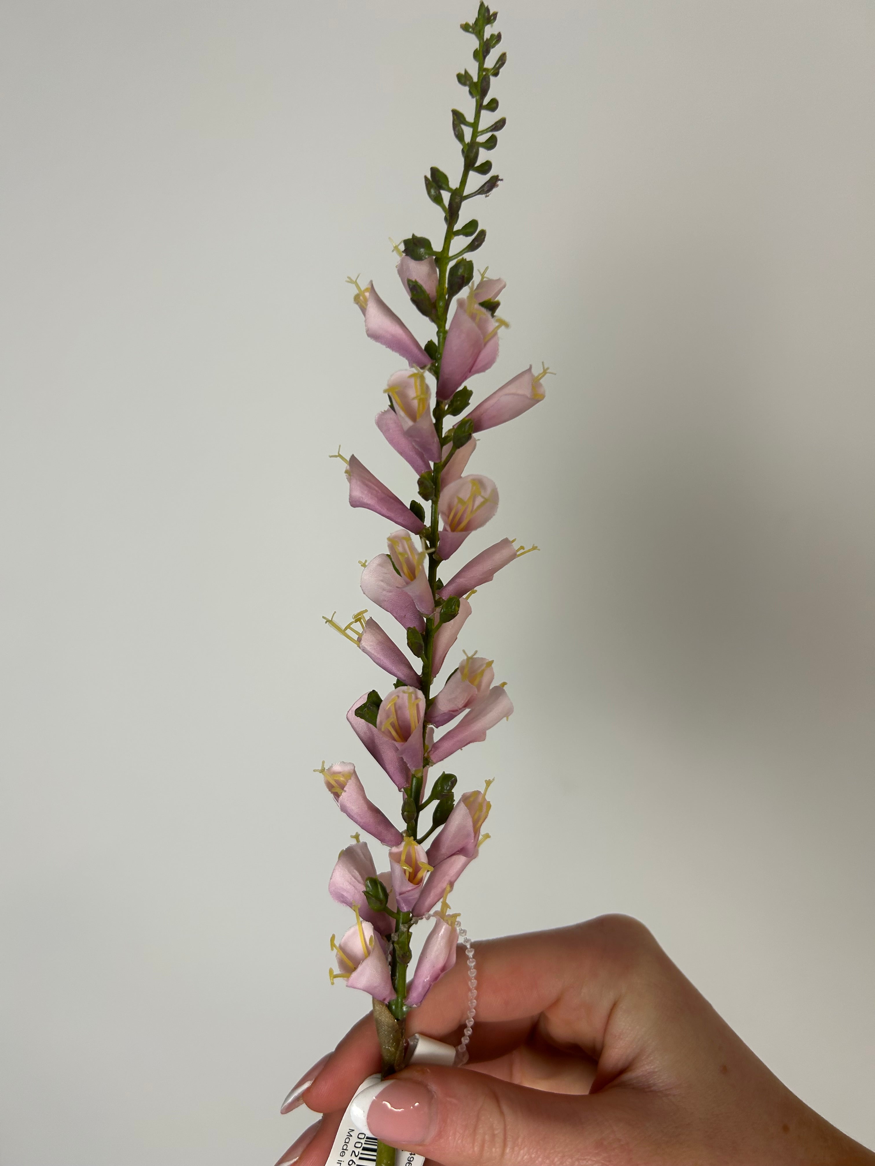 Digitalis lyserød