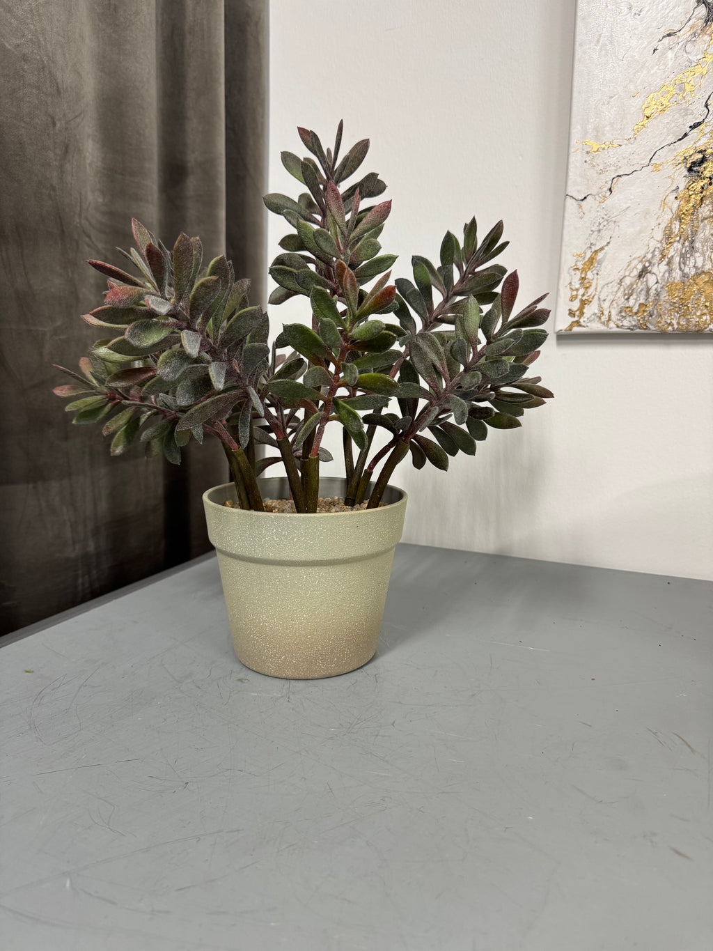 Sukkulent i potte 41 cm