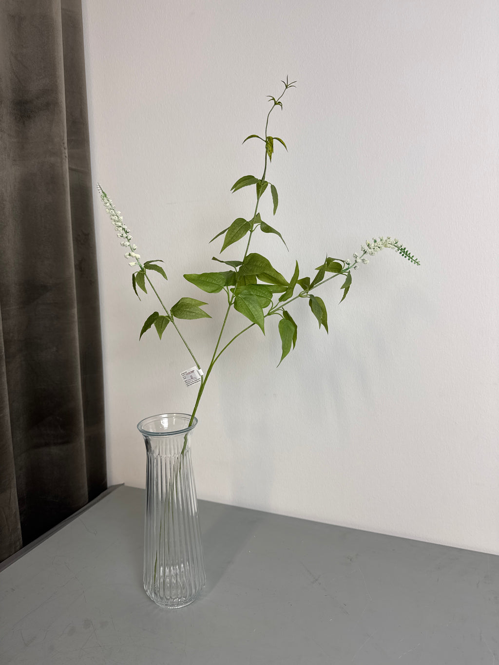 Hvid blomsterstilk m. Blad