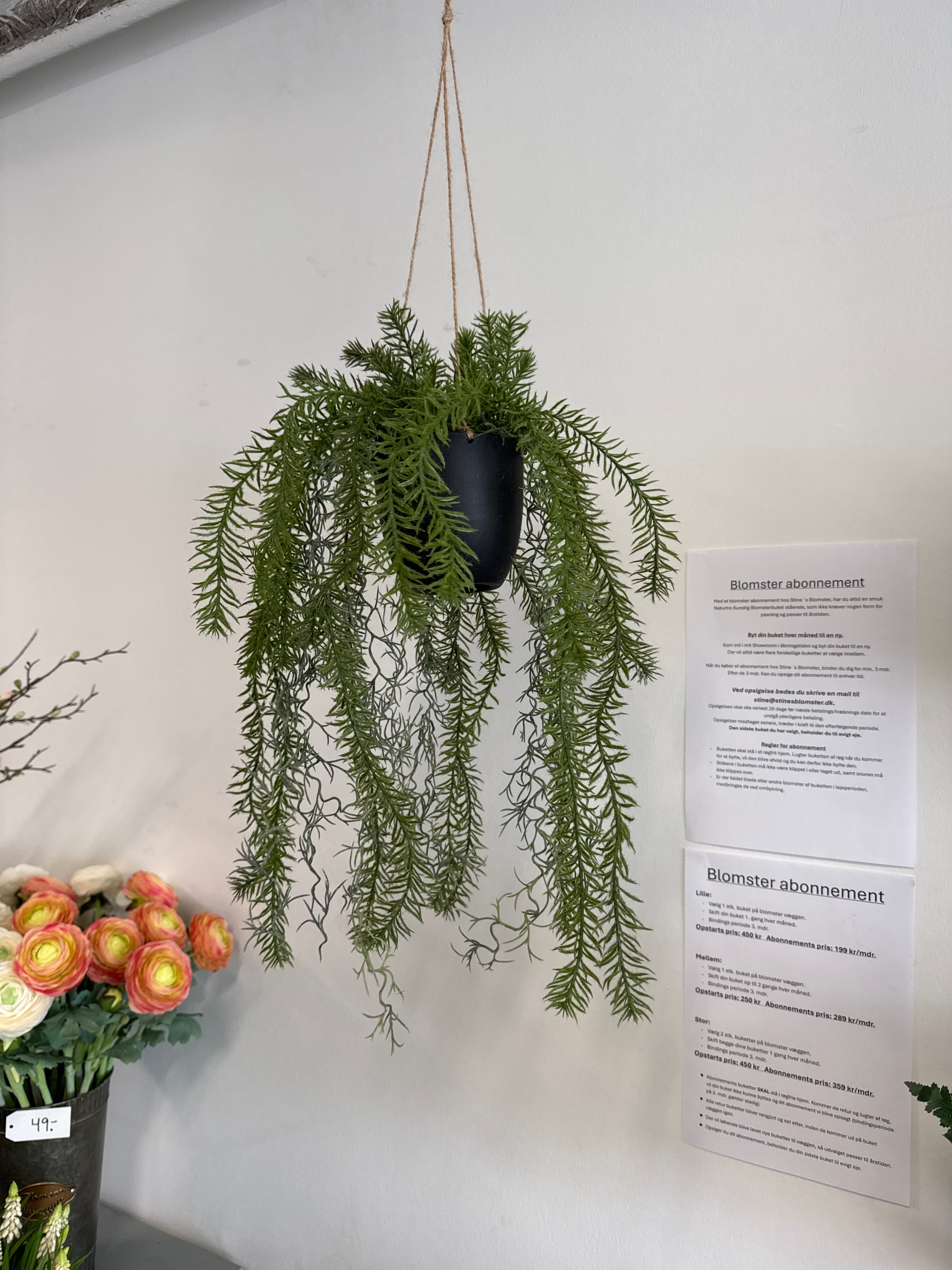 Asparagus hænge L 51cm