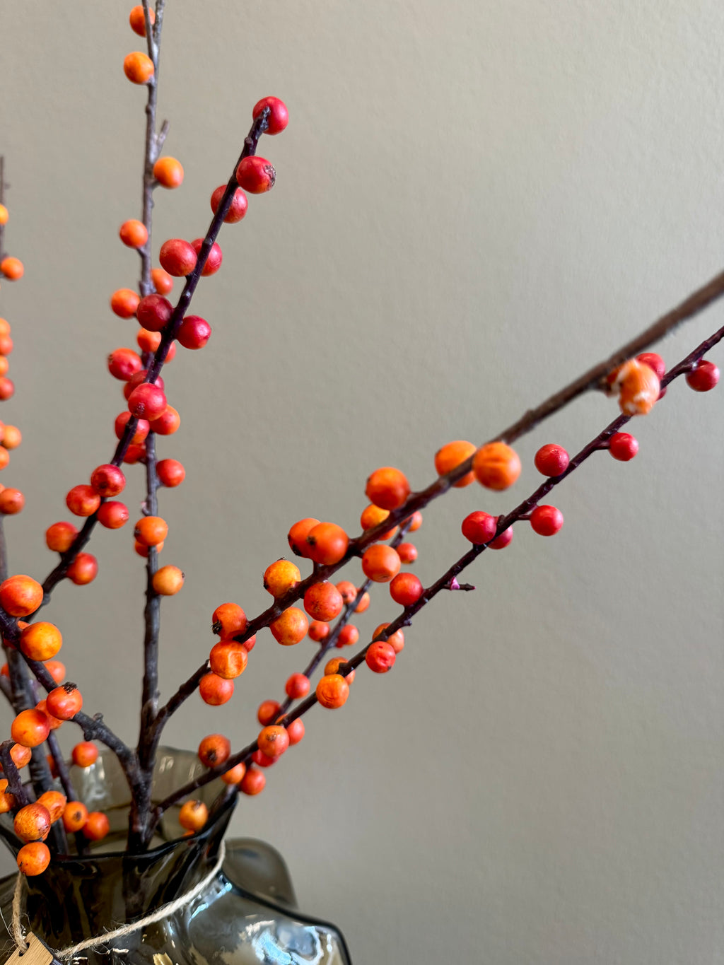 Orange grene 2. Sortering