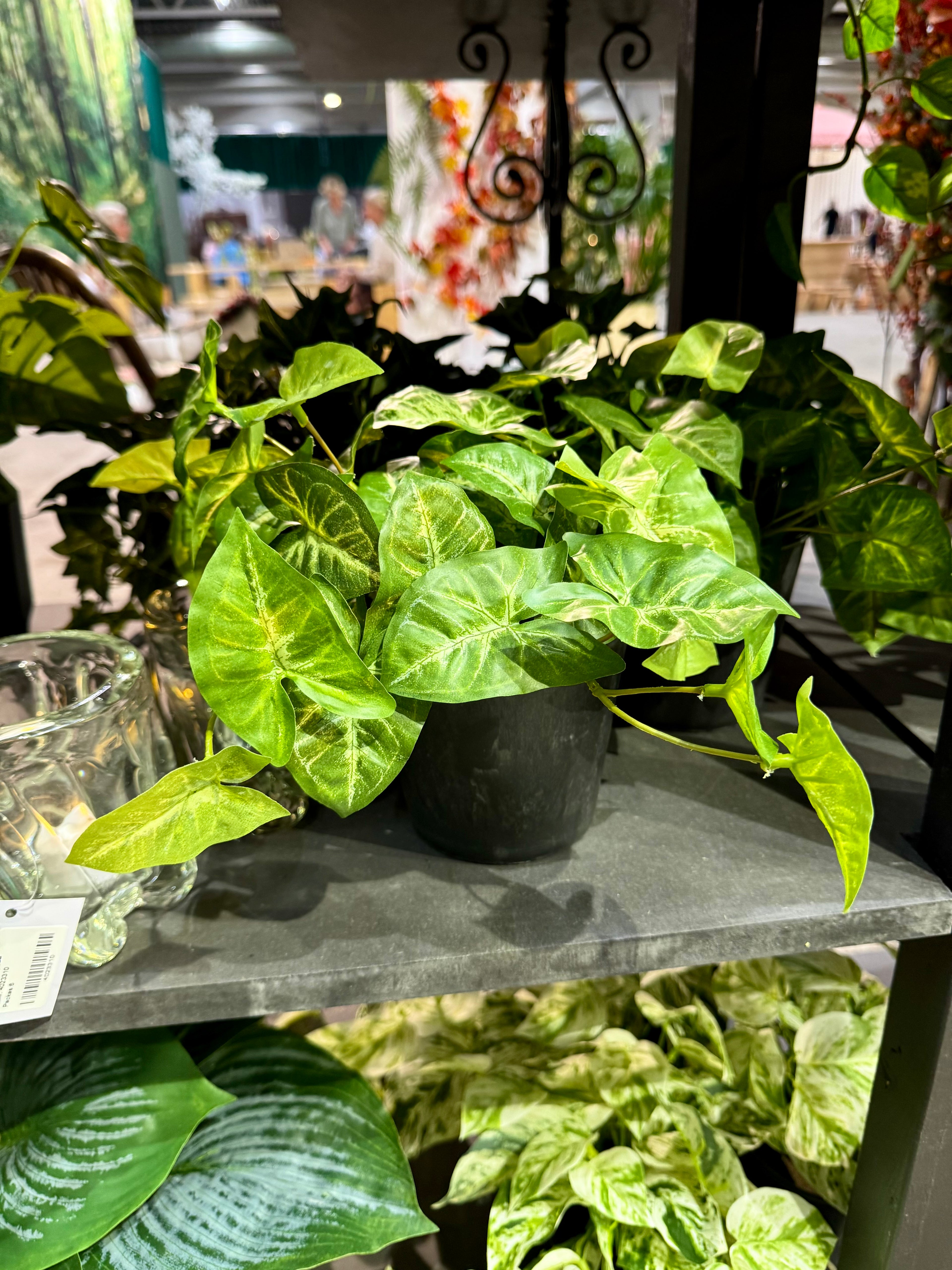 Gåsfot 19 cm