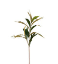 Grevilleakvist 85 cm