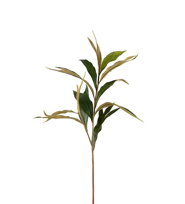 Grevilleakvist 85 cm