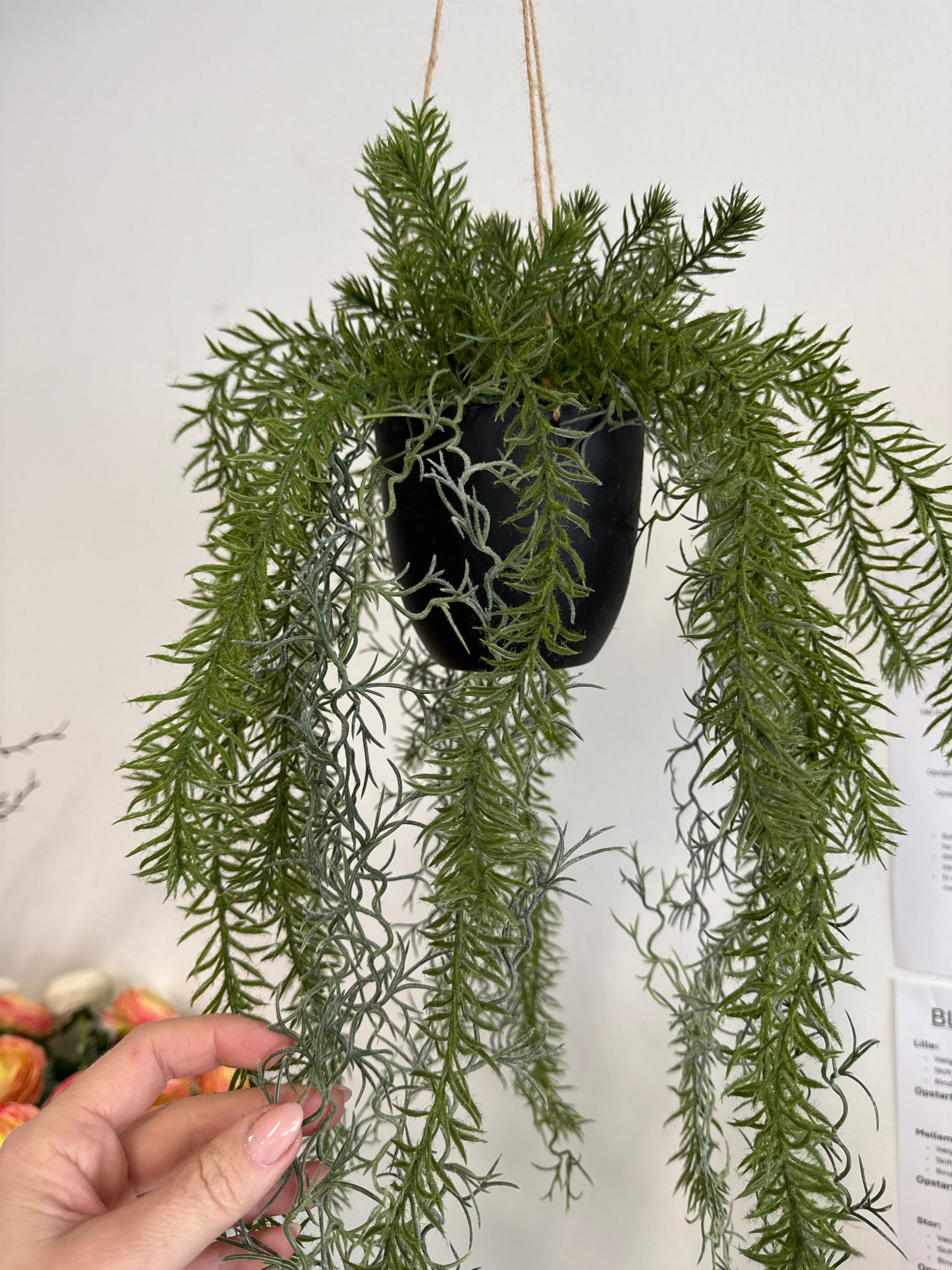 Asparagus hænge L 51cm