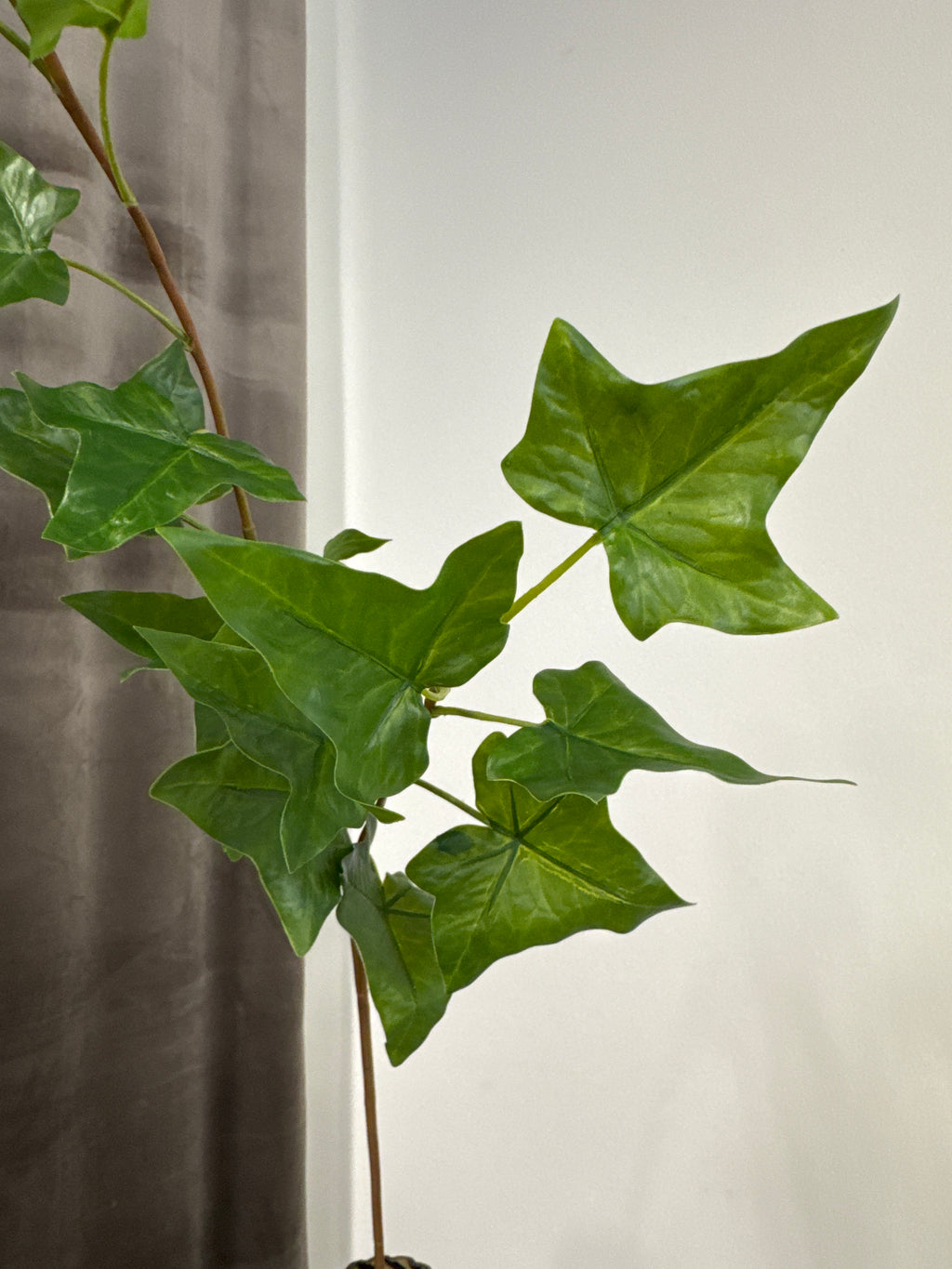 Grønt blad (murgrena)