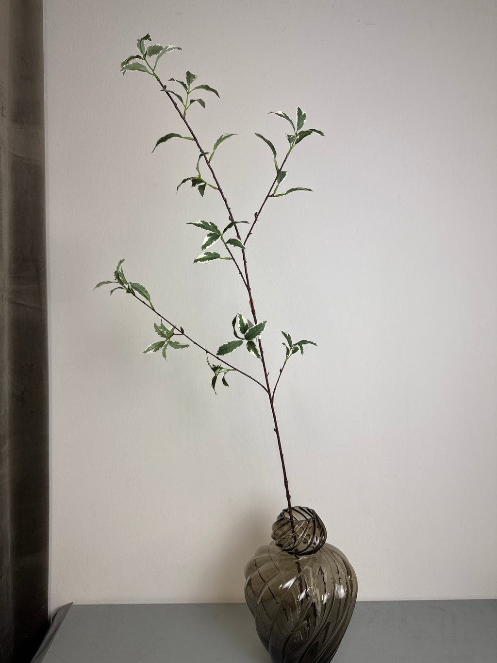 Grøn lang stilk med blad