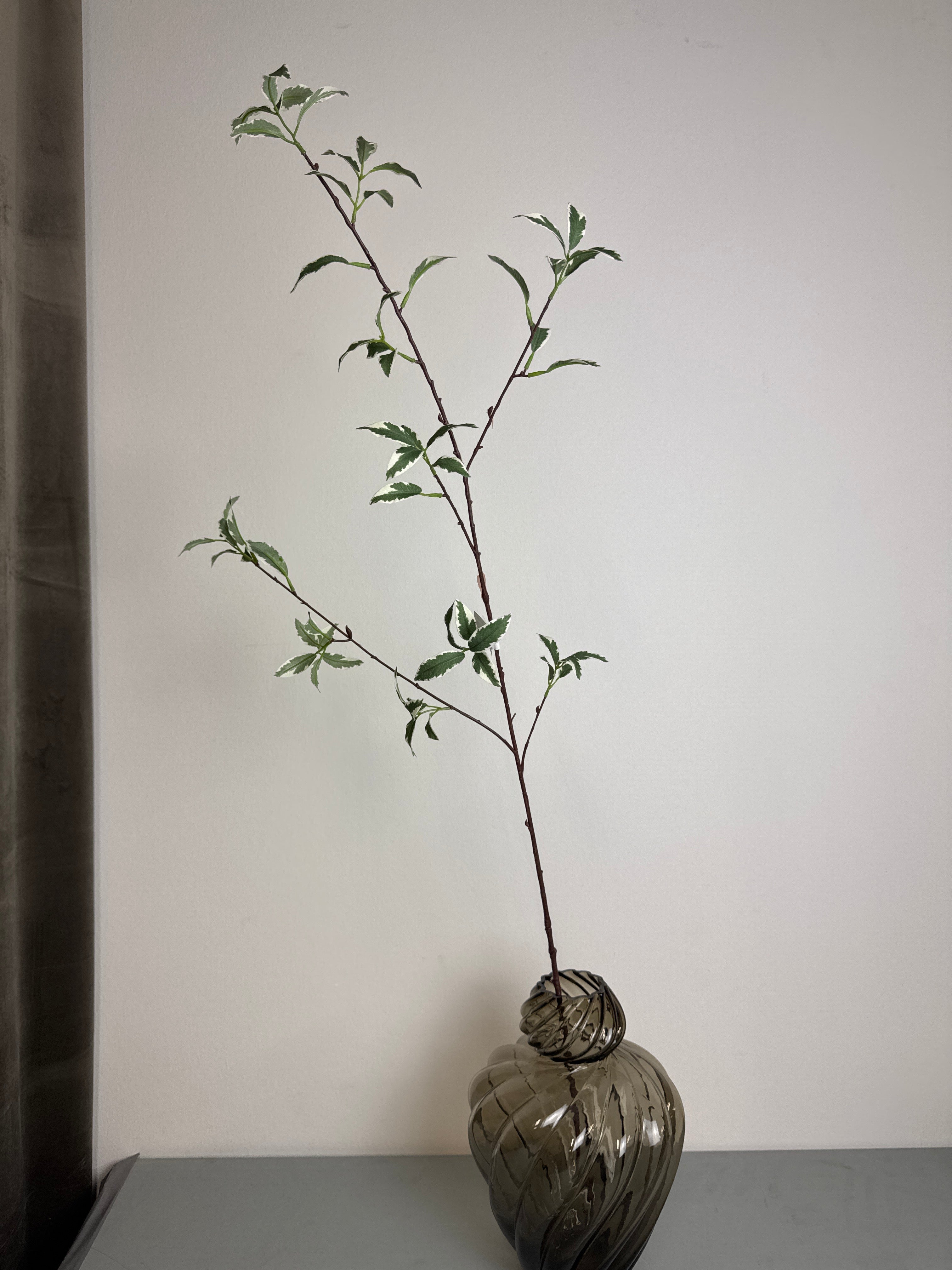 Grøn lang stilk med blad