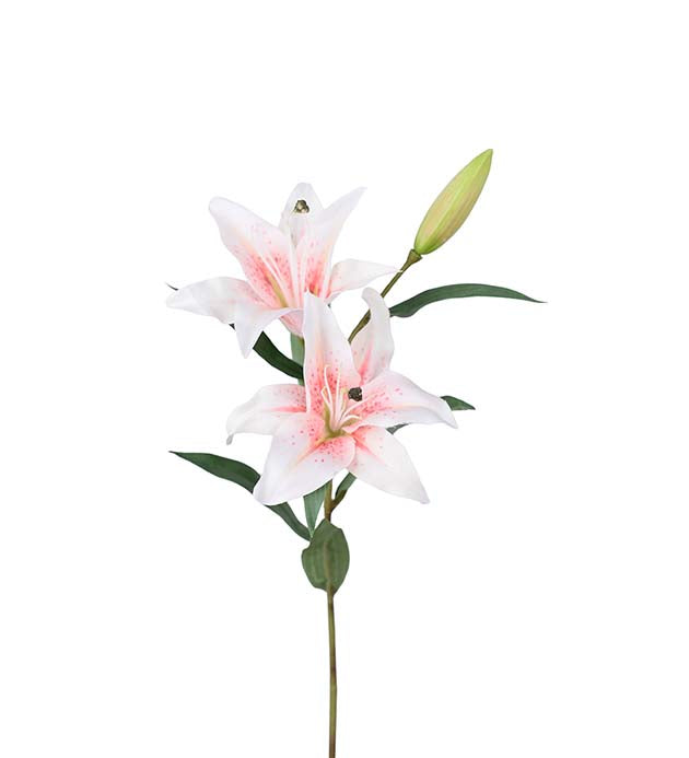 Lilje lys rosa 60 cm