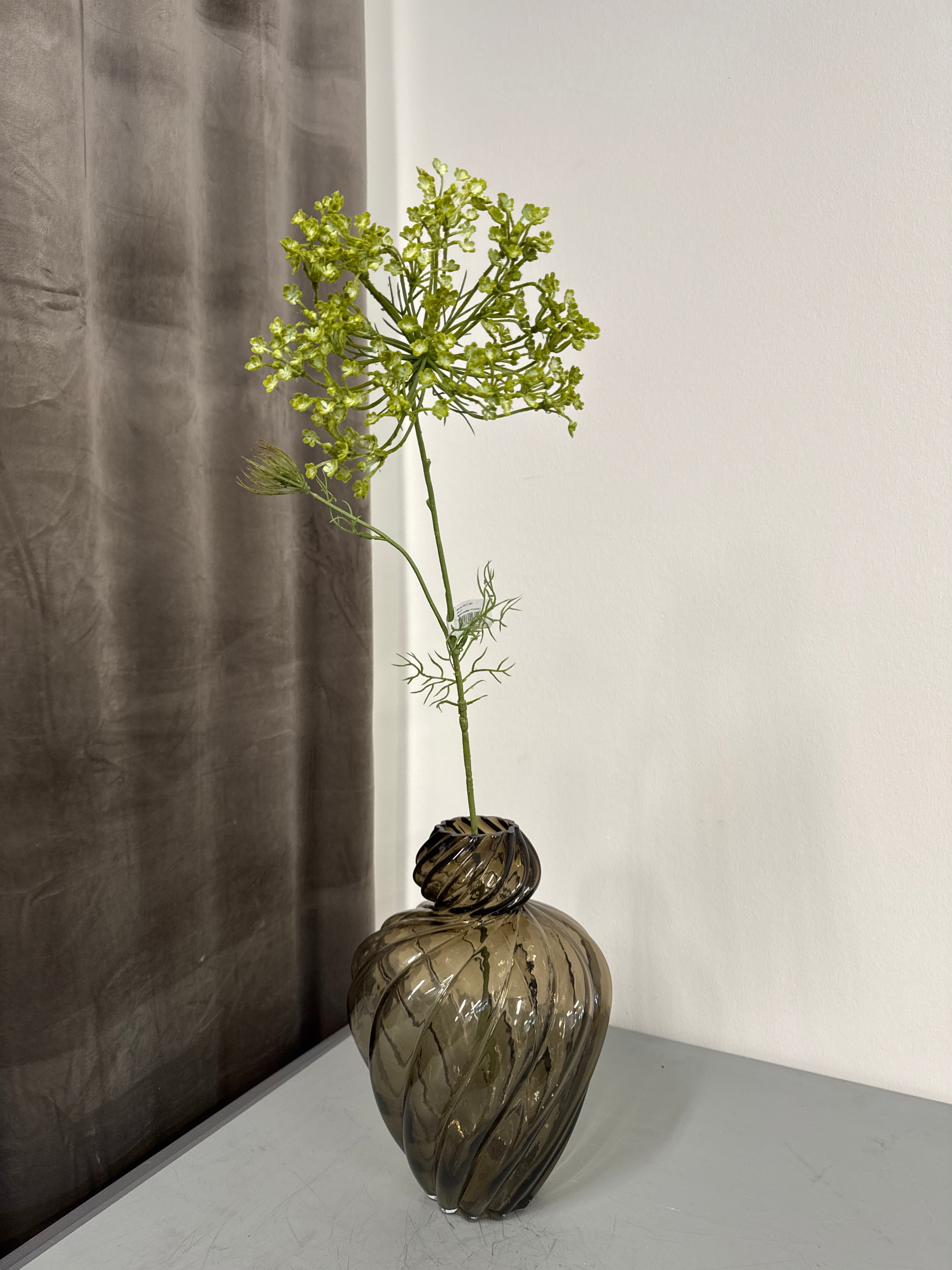Grøn Allium stilk stor