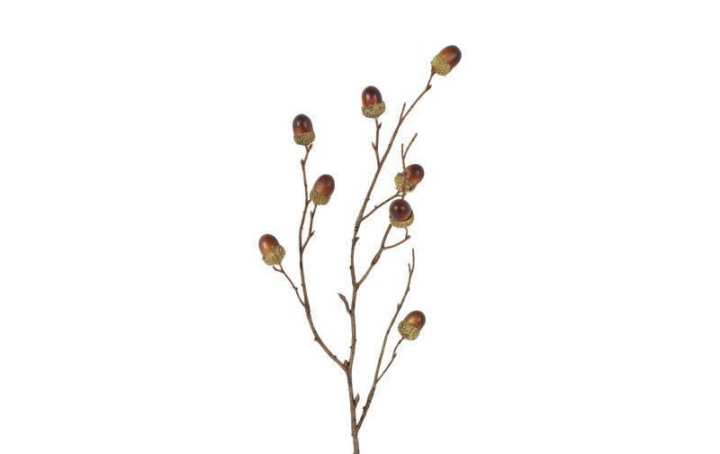 Gren m/agern h 56 cm