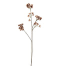 Ferskenblomst brun 67 cm