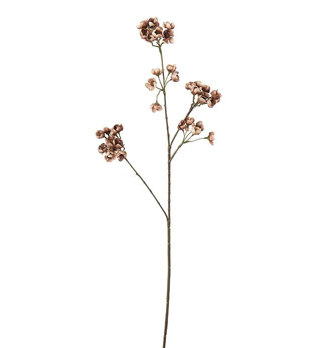 Ferskenblomst brun 67 cm