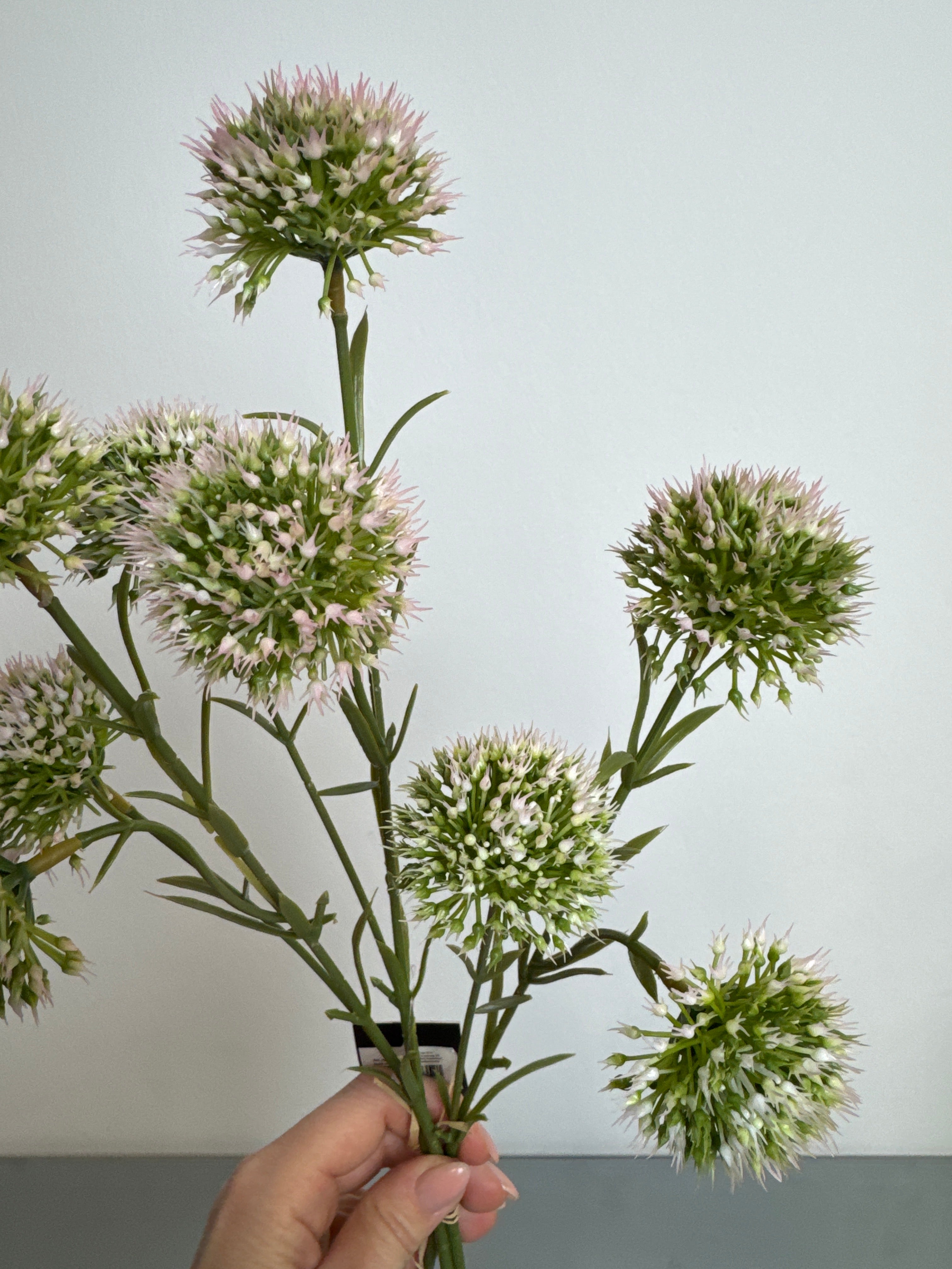 Allium lille lyserød