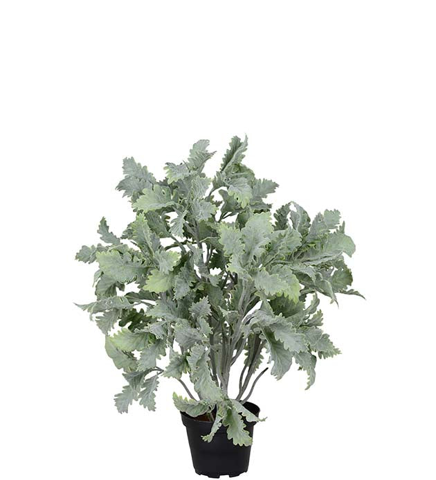 Silverek 38 cm
