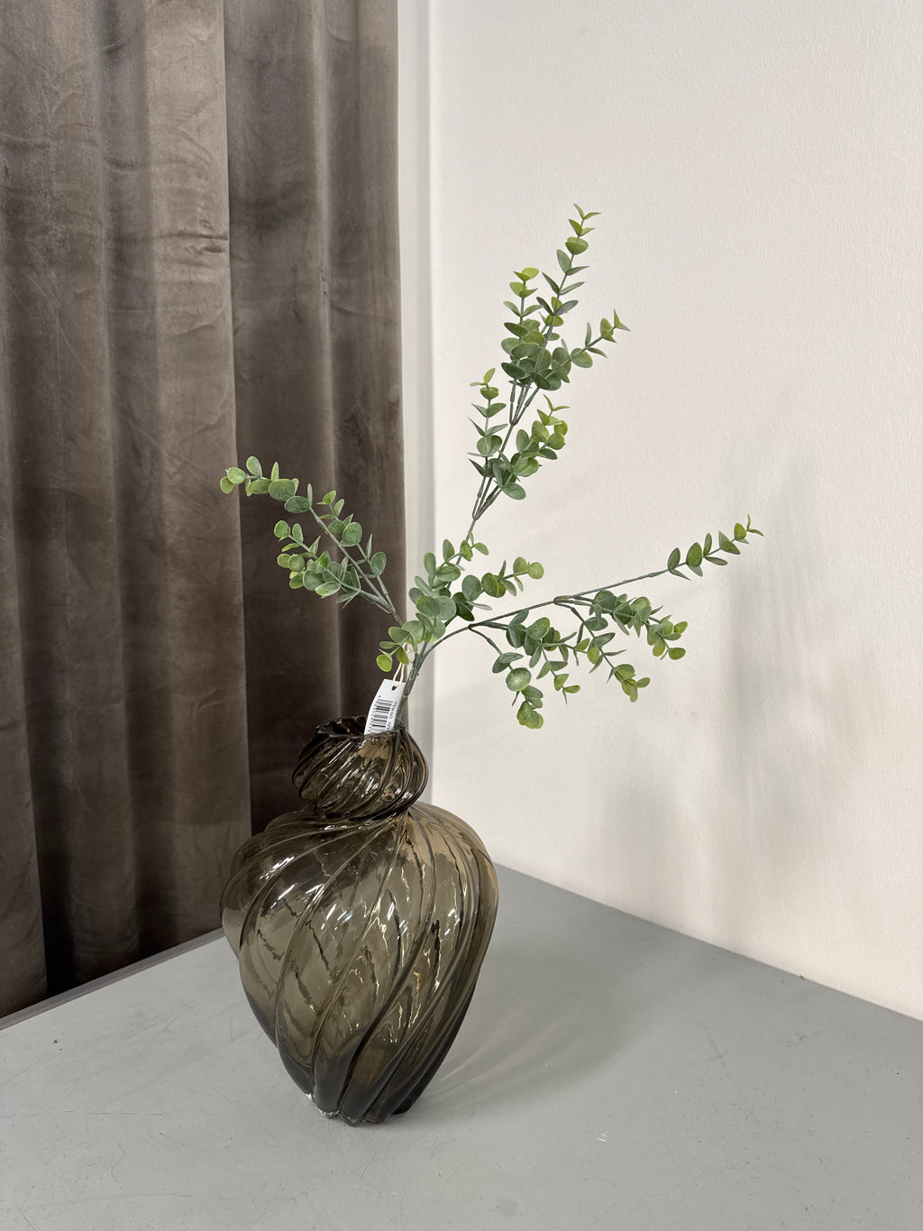 Eucalyptus 69 cm