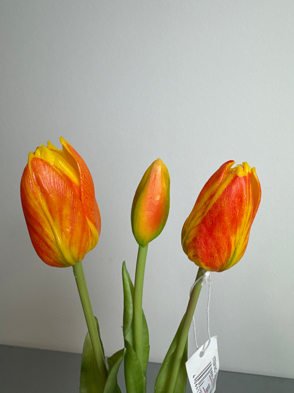 Tulipaner orange