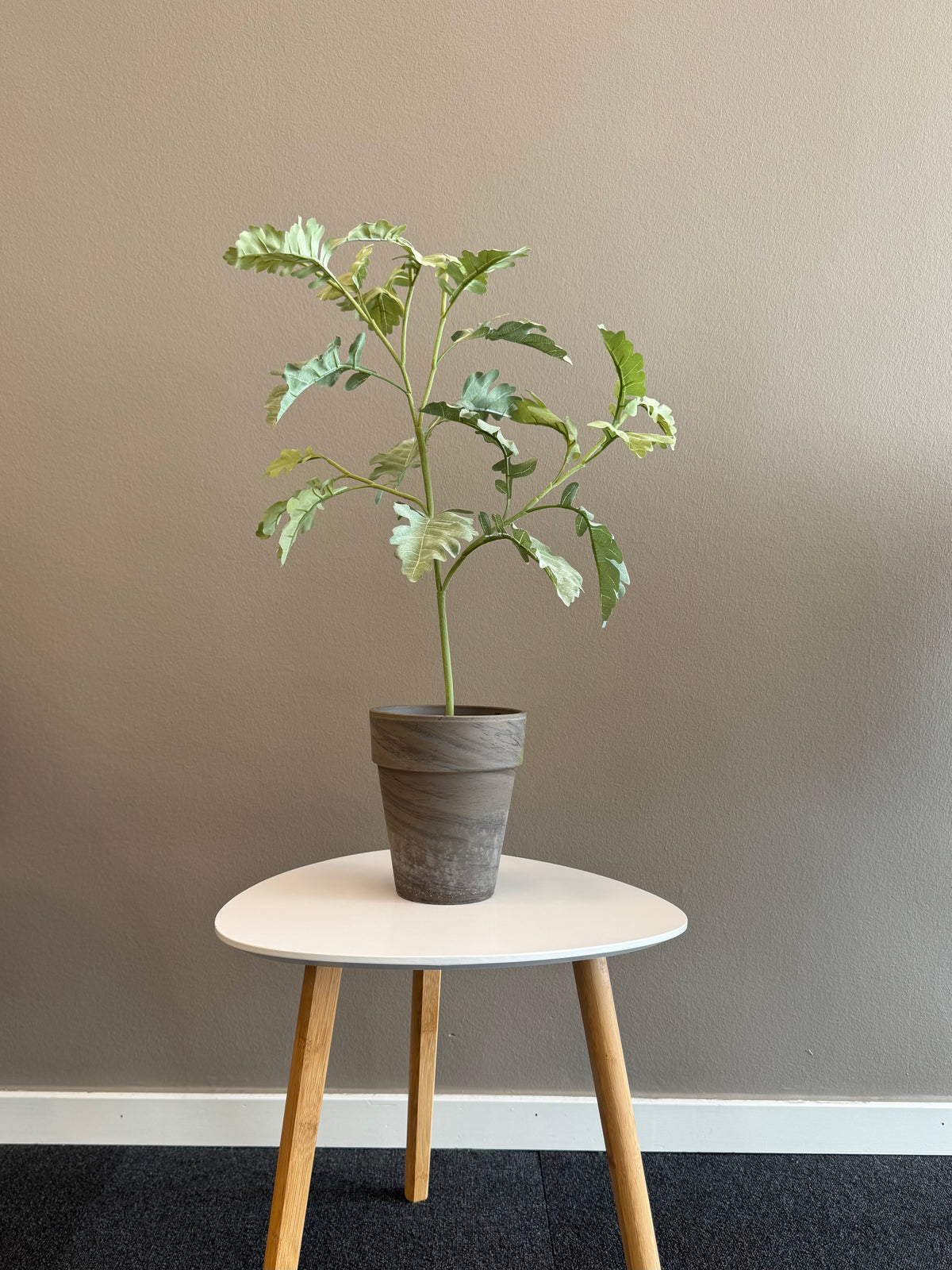 Silverek 70 cm