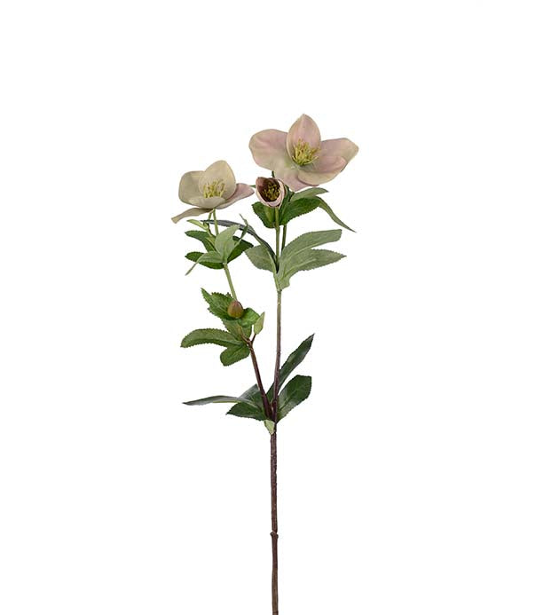 Julerose grøn/beige 63 cm