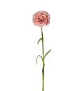 Nellike rosa 44 cm