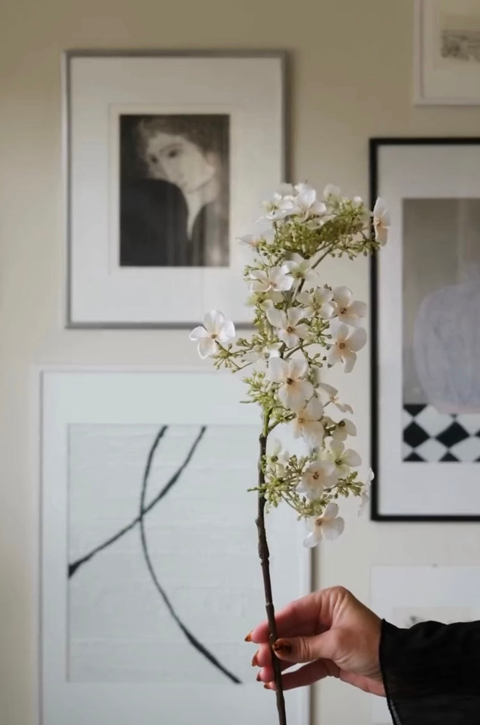 Hortensia høj creme 89 cm
