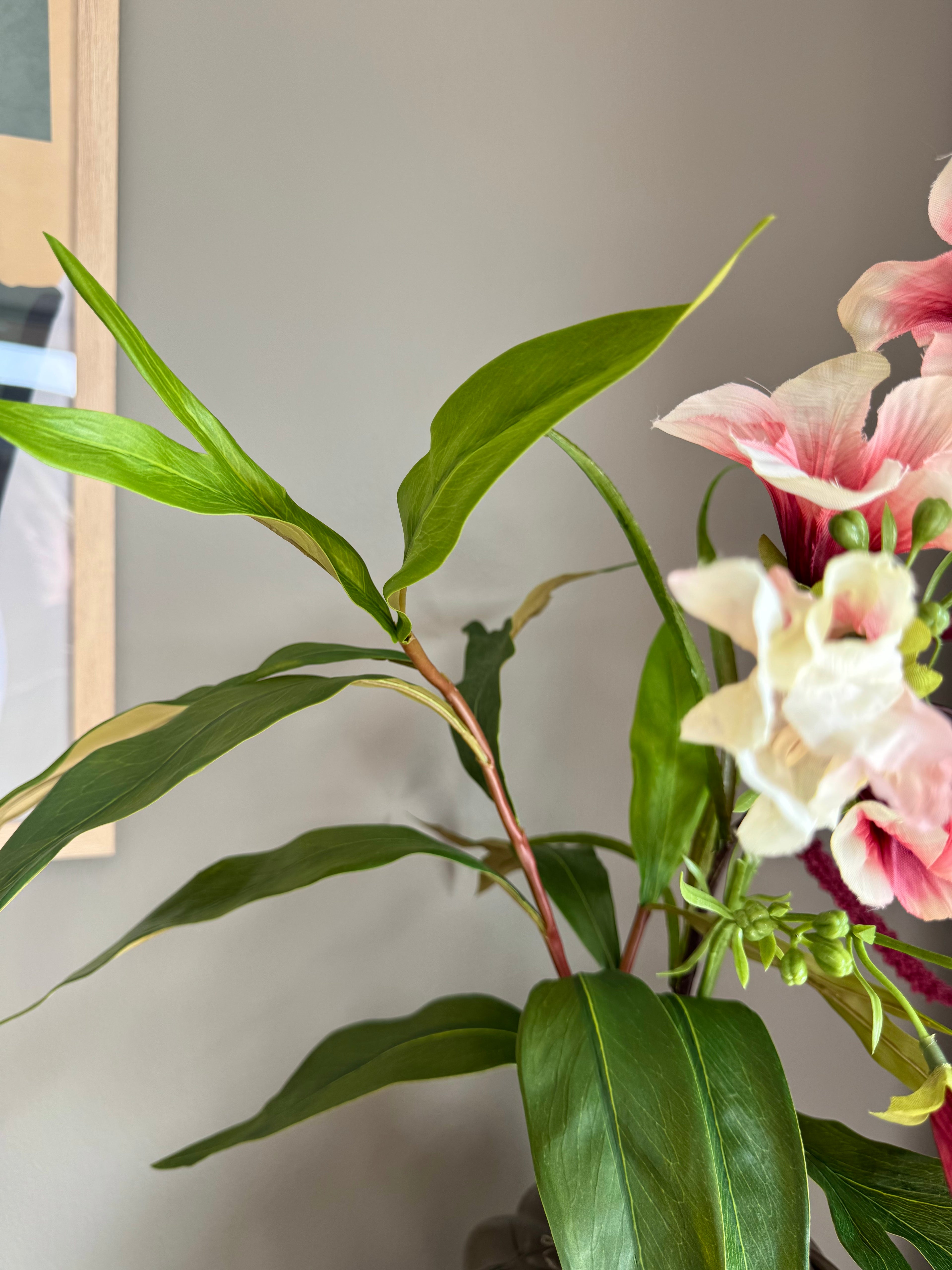 Petunia mix mørk lyserød