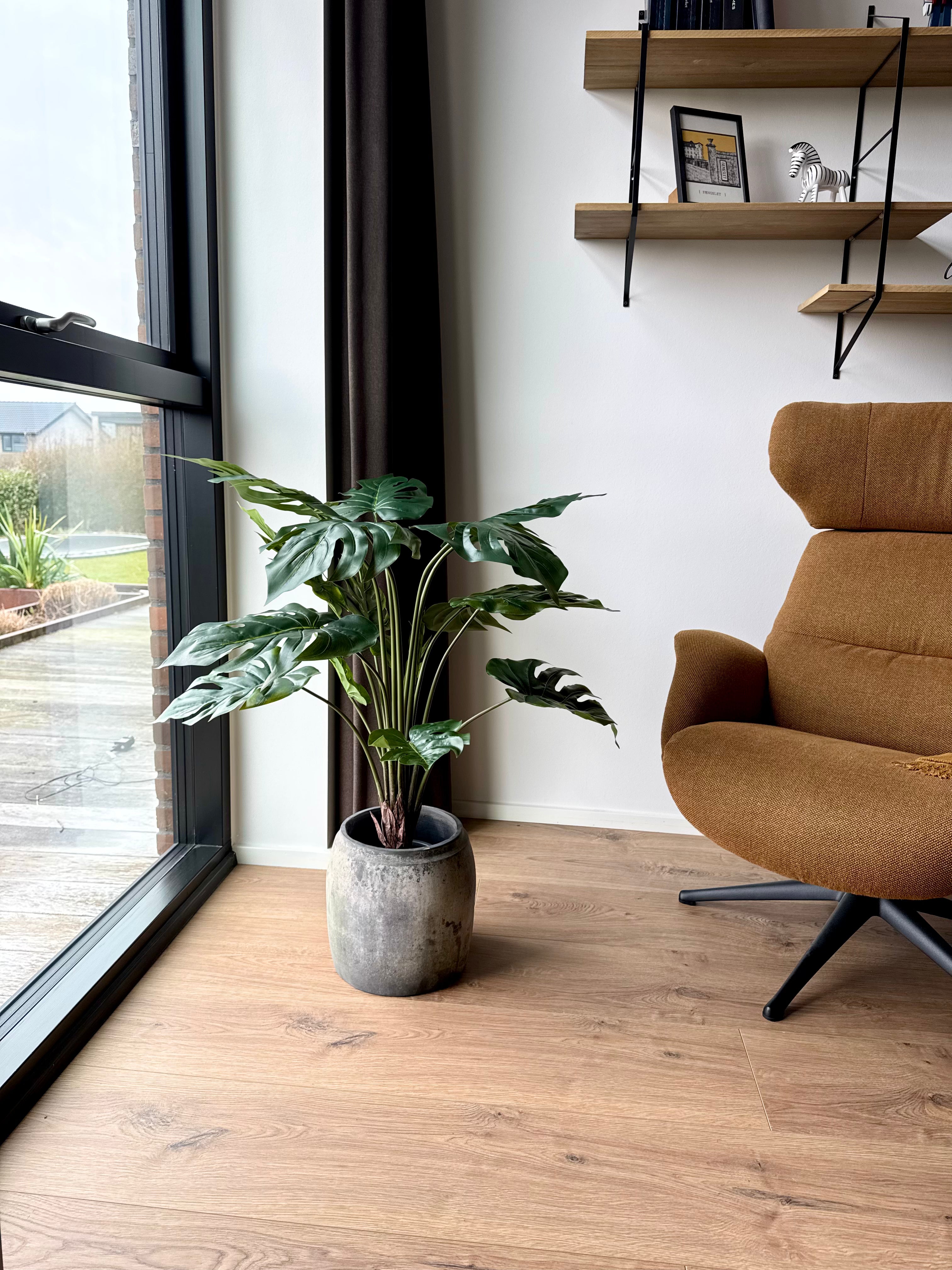 Monstea plante 110 cm