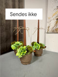 Lys deko grøn hortensia
