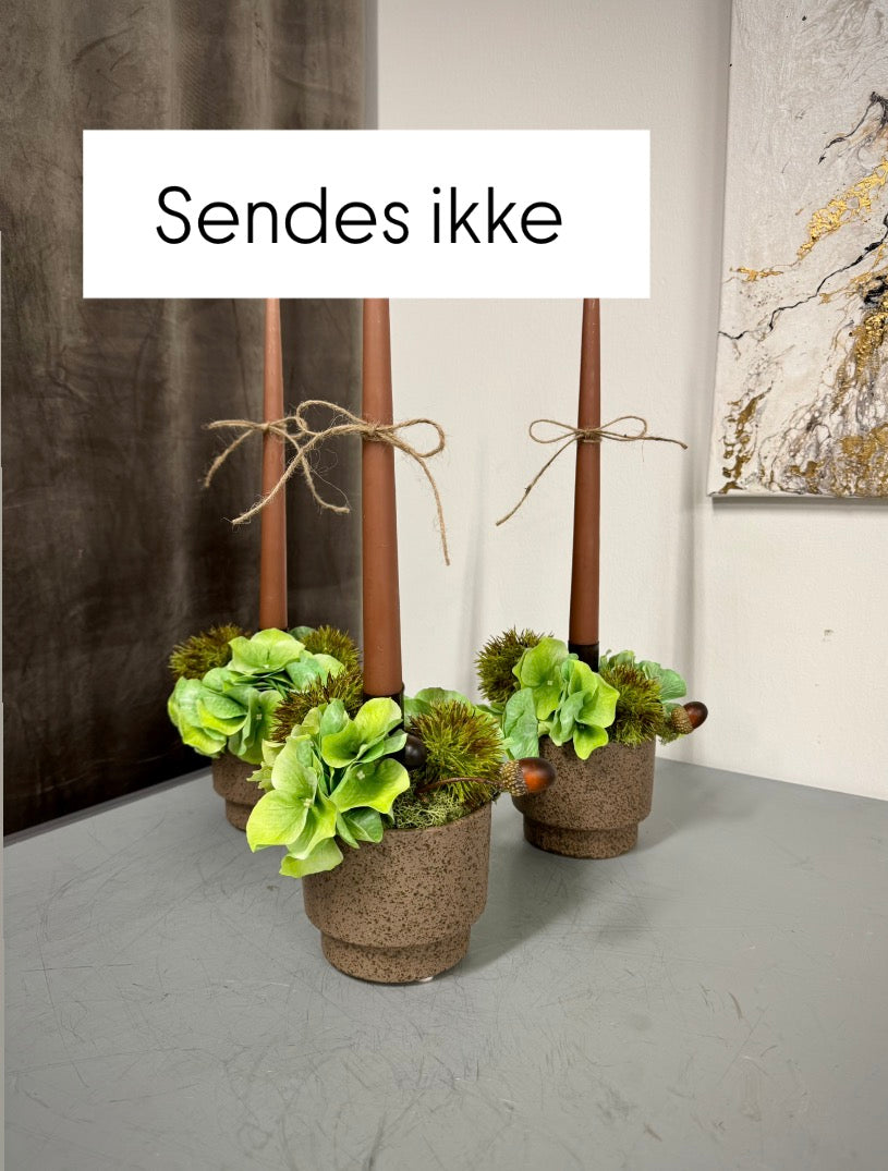 Lys deko grøn hortensia