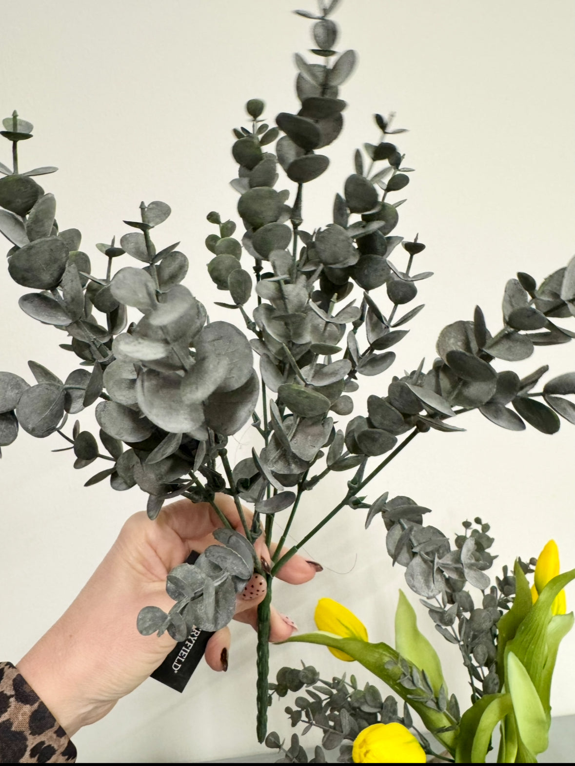 Lille eucalyptus 30 cm