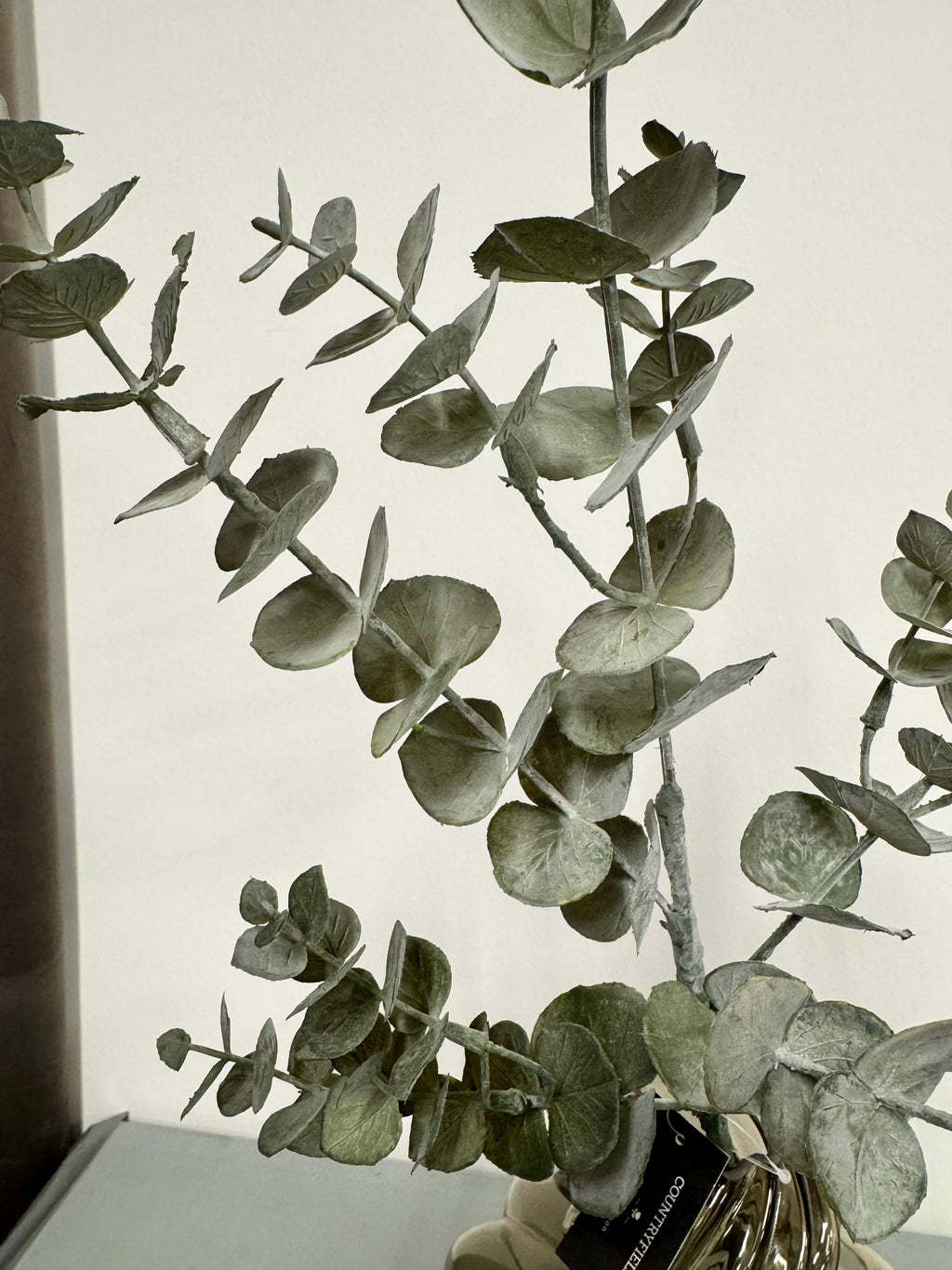 3 stk eucalyptus grene