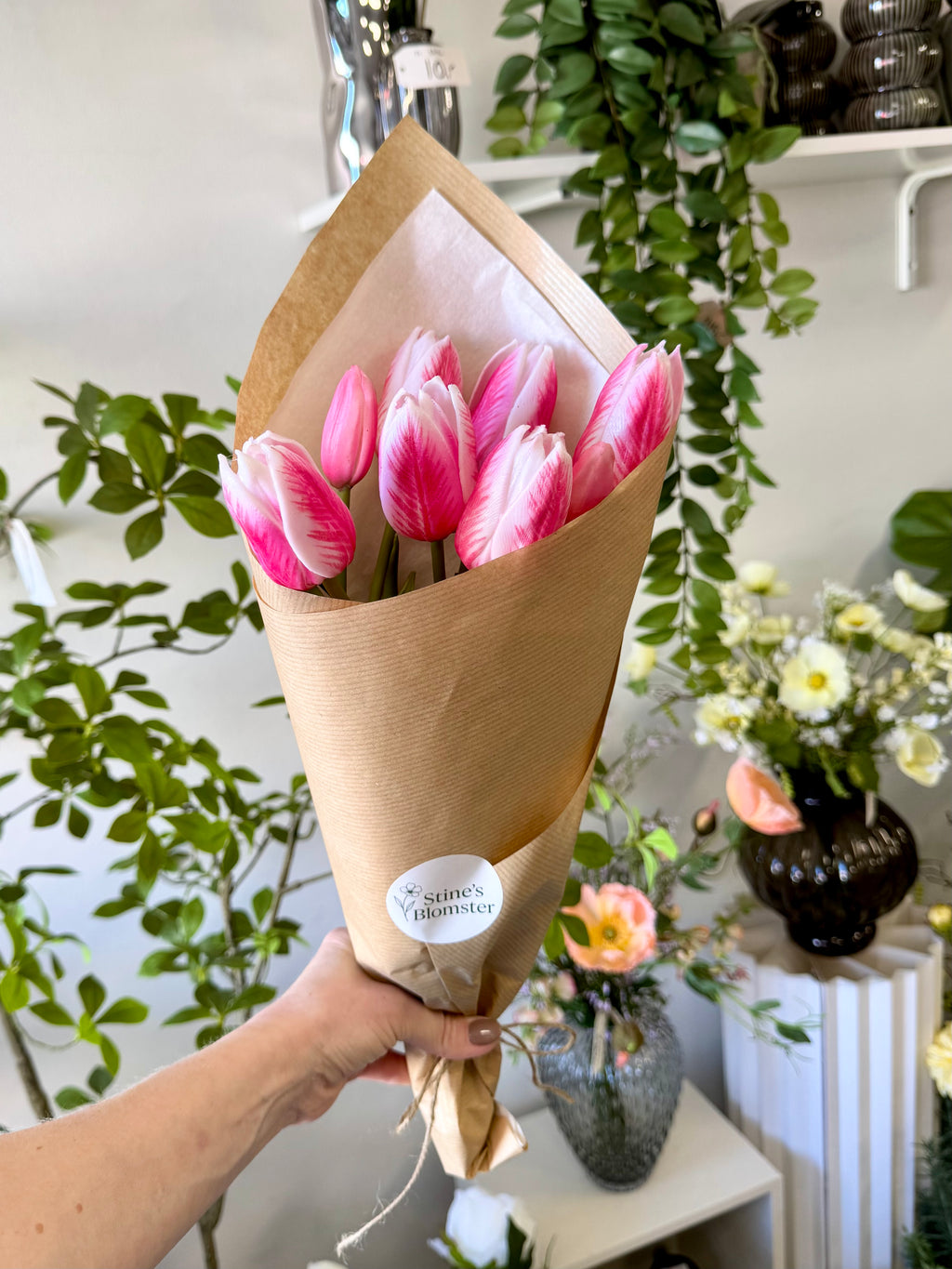 Tulipan bdt. Pink/9
