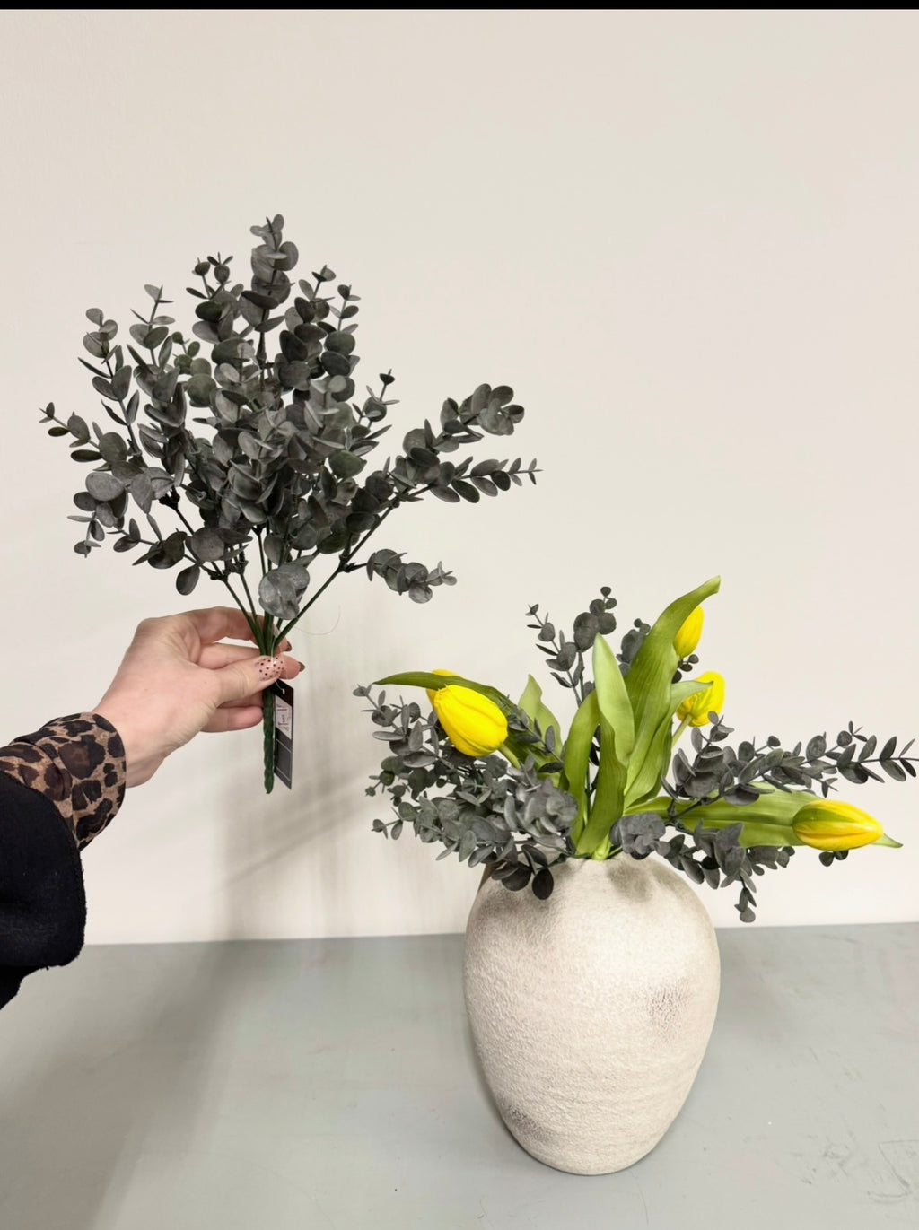 Lille eucalyptus 30 cm