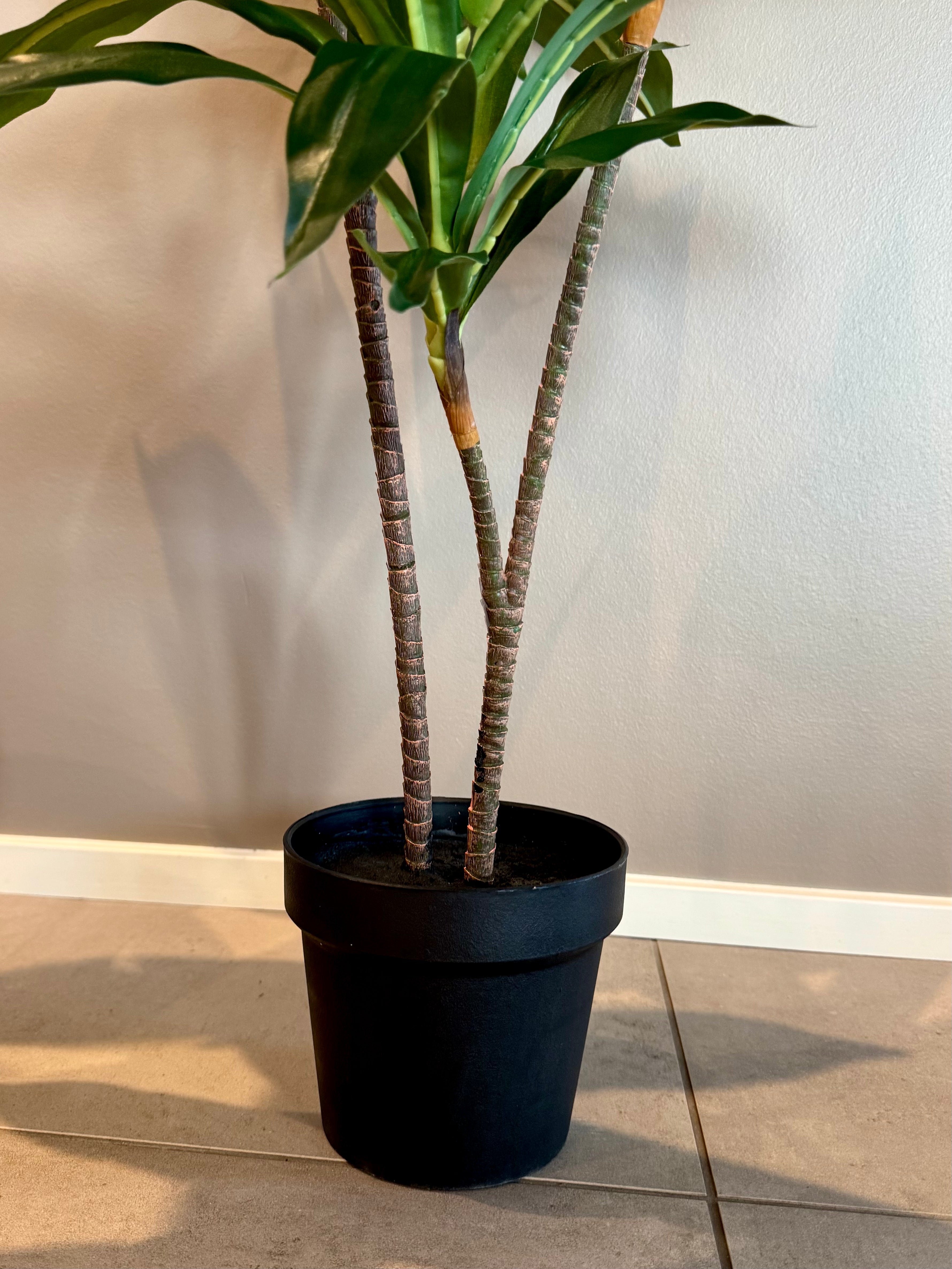 Dracena plante 110 cm