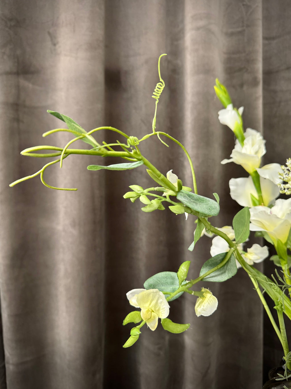 Mix af stilke m. Bla.  Gladiolus