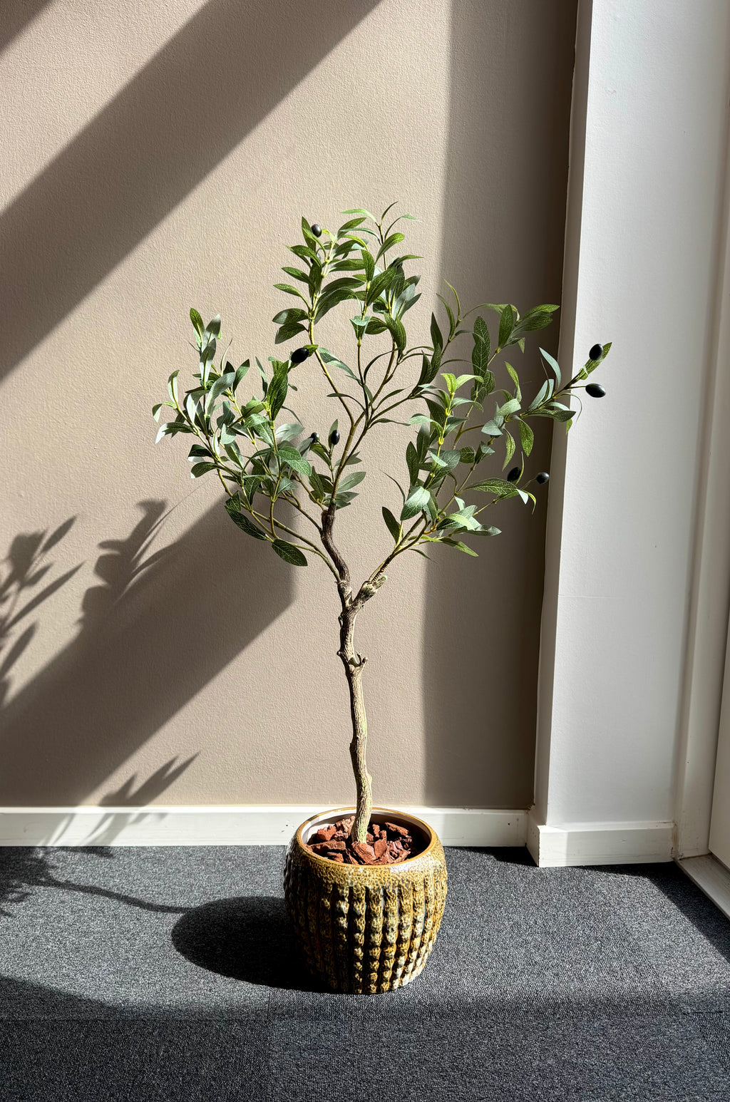 Oliventræ 100 cm