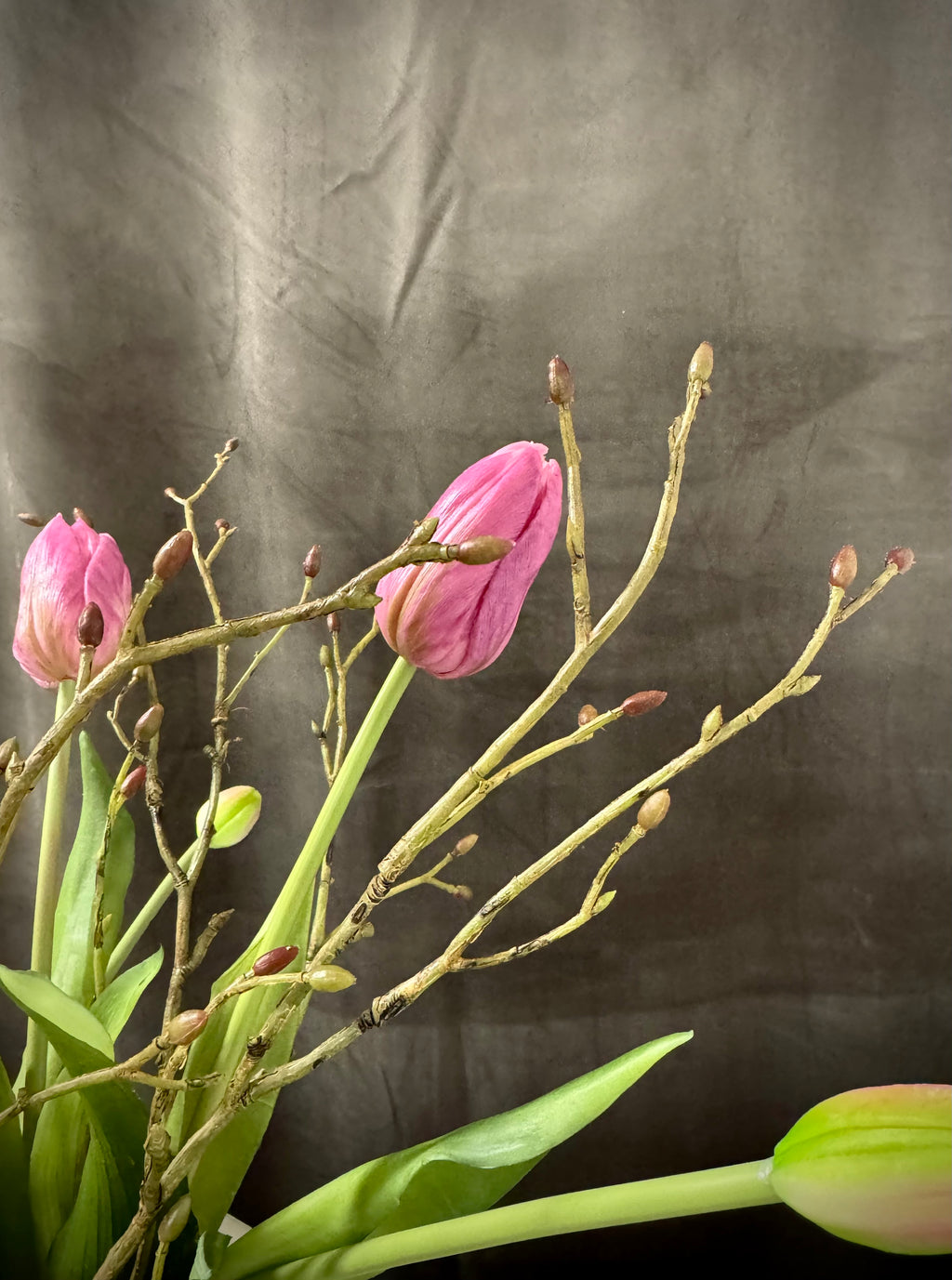 Tulipan stilke med grene