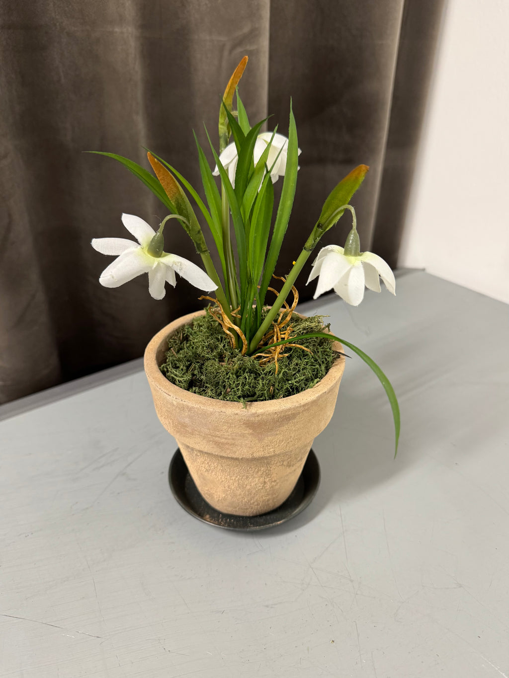 Rensdyr mos mørk grøn