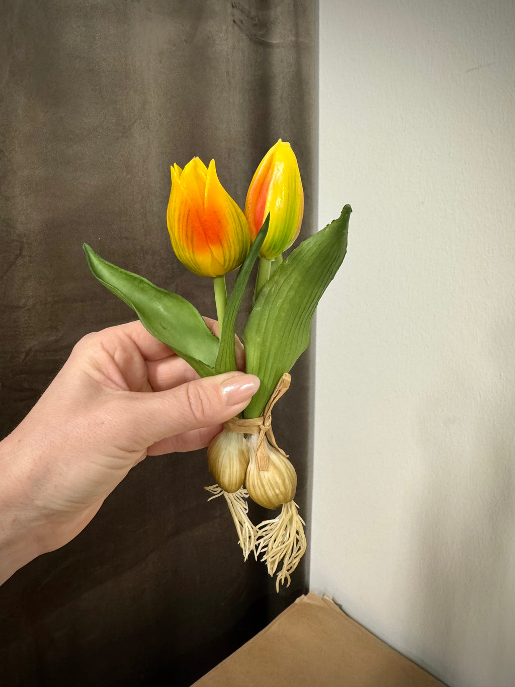 Tulipan på løg gul