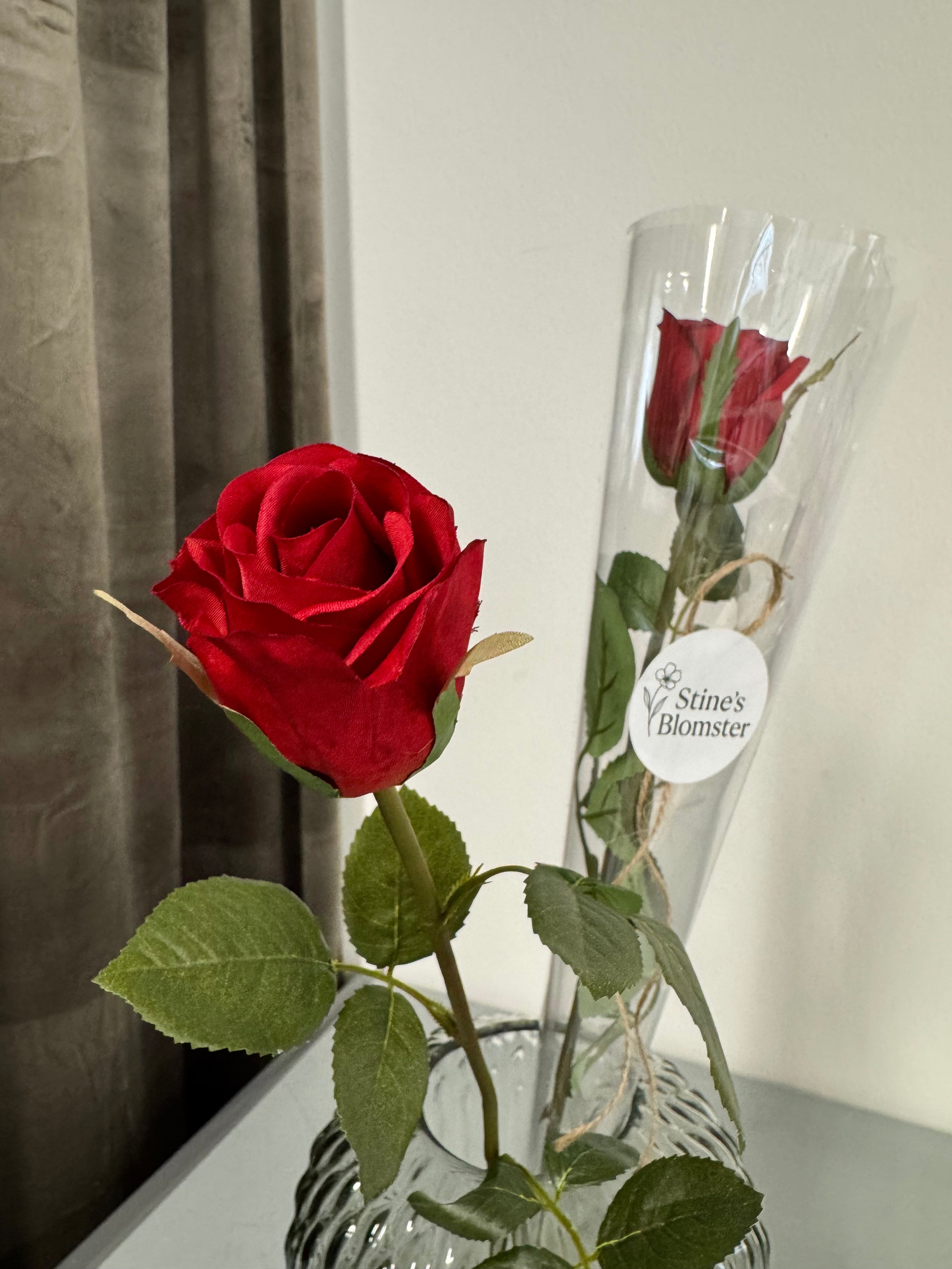 Konfirmations rose alm. MED CELLOFAN